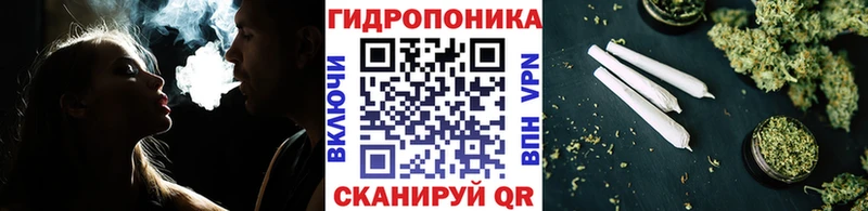 где найти   mega ONION  МАРИХУАНА ГИДРОПОН  Туринск 